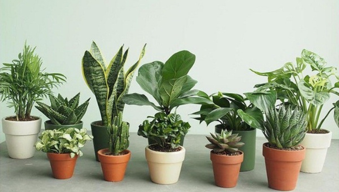 Xu hướng quà tặng khách hàng ấn tượng 2025