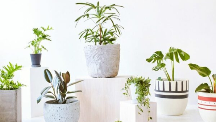 Bật mí những quà tặng thiết thực ai cũng có nhu cầu sử dụng