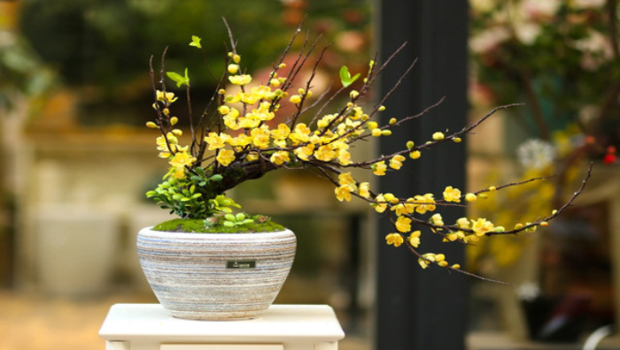 Những món quà Tết tặng sếp sang trọng giúp ghi điểm tuyệt đối